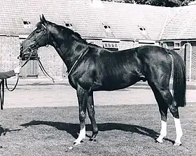 Image illustrative de l’article Le Moss