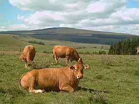 Vue du signal du Luguet.