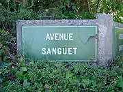 Le Touquet-Paris-Plage (Avenue Sanguet)