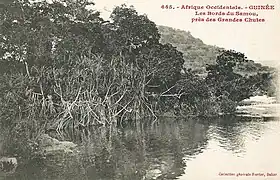 Les bords du Samou près des grandes chutes.