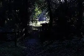 Deux passerelles en bois.