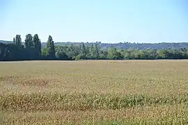Champs cultivés des Terres Noires.