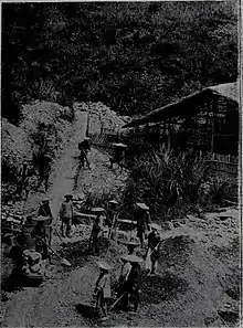 Photographie en plan éloigné, montrant un paysage où l'on aperçoit des hommes, coiffés de « chapeaux chinois », en train de travailler.