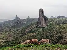 Les monts Kapsiki situés dans le Mayo-Tshanaga avec l'emblématique pic de Rhumsiki