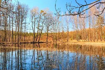 Étang dans la forêt à Štika.
