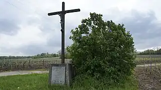 Libération août 44.