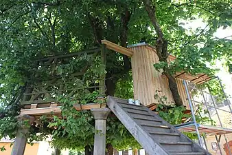 Le tilleul de danse de Limmersdorf.