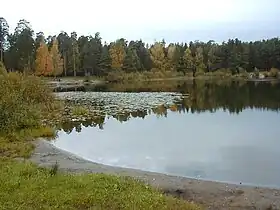 Image illustrative de l’article Linezers (Rīga)