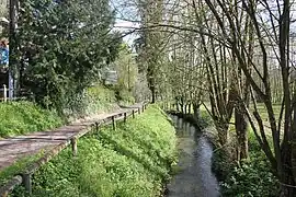 Un des bras du torrent d'Authou.