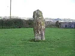 Image illustrative de l’article Menhir de Llanddyfnan
