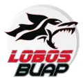 Logo des Lobos de la BUAP.
