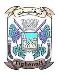 Blason de Tighennif