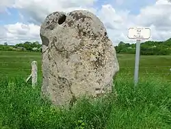 Image illustrative de l’article Menhir de la Longue Pierre