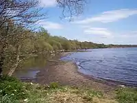 Le Lough Neagh à Shane's Castle (comté d'Antrim).