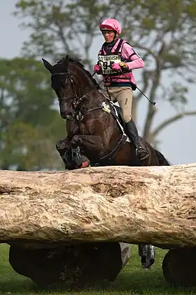 Image illustrative de l’article Lucinda Fredericks