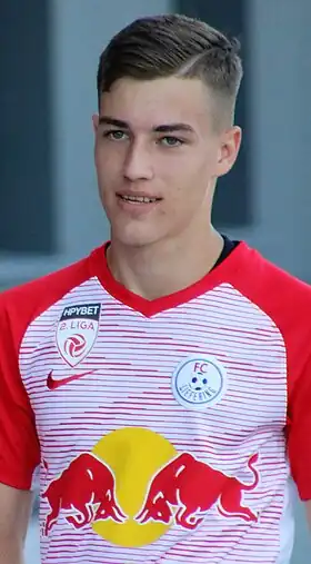 Image illustrative de l’article Luka Sučić