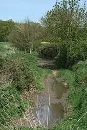 Le lit du Lunain asséché dans la commune de Vaux-sur-Lunain.