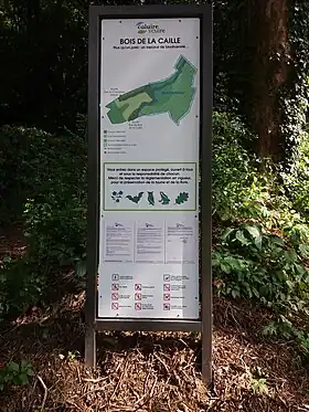 Image illustrative de l’article Bois de la Caille