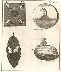 Armes des Outaouais, des Hurons, des Illinois et des Sioux.