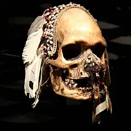 Crâne-trophée Asmat. Os, dents, graines, plumes, fibres. H. 24&nbsp;cm. Irian Jaya. 1850-1950