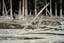 Photo d'une coulée de boue.