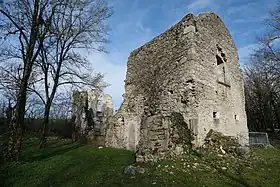 Image illustrative de l’article Château de Quirieu