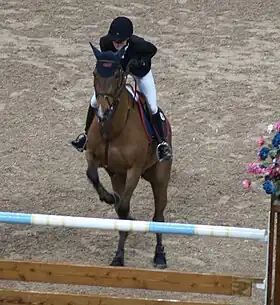 Image illustrative de l’article Butterfly Flip