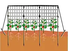 Les fils tenseurs supérieurs aident à maintenir le filet crispé