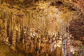 Stalagmite de la grotte dels Hams, Espagne