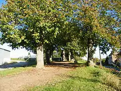 Calvaire, allée du cimetière.