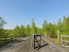 Le terril no&nbsp;143A.