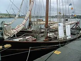 illustration de Yseult (PSM2)