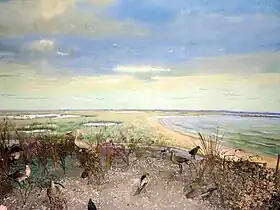 Image de la flèche.