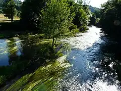 La Maronne en aval de la RD 116 à Argentat.