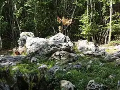 L'allée couverte no&nbsp;2.