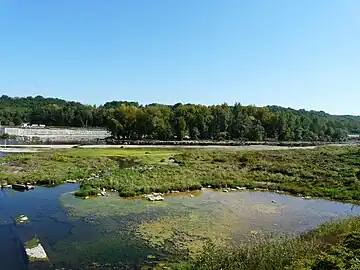 La Dordogne en aval du barrage.