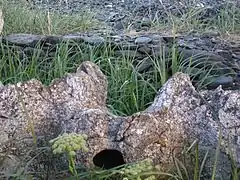 Fosse de stockage de viande.