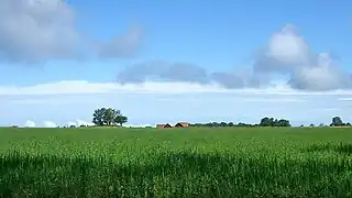 Terrain cultivée à Medelplana, sur les terrains plats près du sommet.
