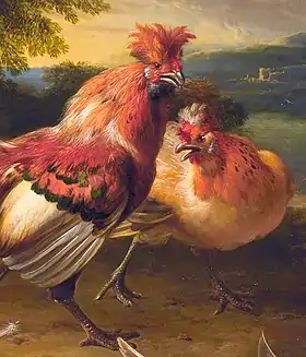 Brabanter (Peinture de Melchior d'Hondecoeter)