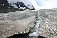 La rivière Sunwapta prend sa source au pied du glacier Athabasca