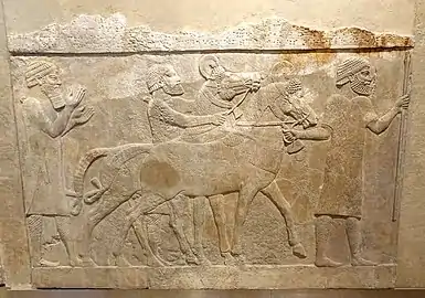 Tributaires conduisant des chevaux, provenant peut-être de Médie ou du pays de Mushki. Bas-relief du couloir 10.