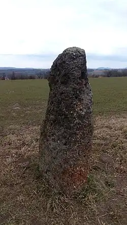 Image illustrative de l’article Menhir de Chodeč