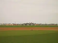 Vue des menhirs devant le village de Colomby-sur-Thaon.