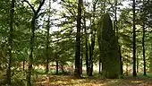 Menhir de Colého.