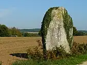 Menhir de Lann-Douar.