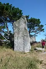 Le menhir du Reun (dit aussi de Squividan)