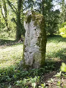 Image illustrative de l’article Menhir de Woinville