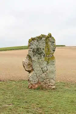 Menhir de l'étang de Chénevry