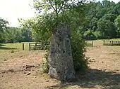 Le menhir de la Rousselière.