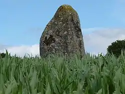 Image illustrative de l’article Menhir de la Ville-Juhel